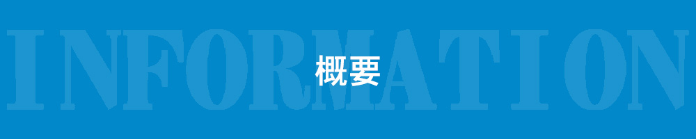 概要